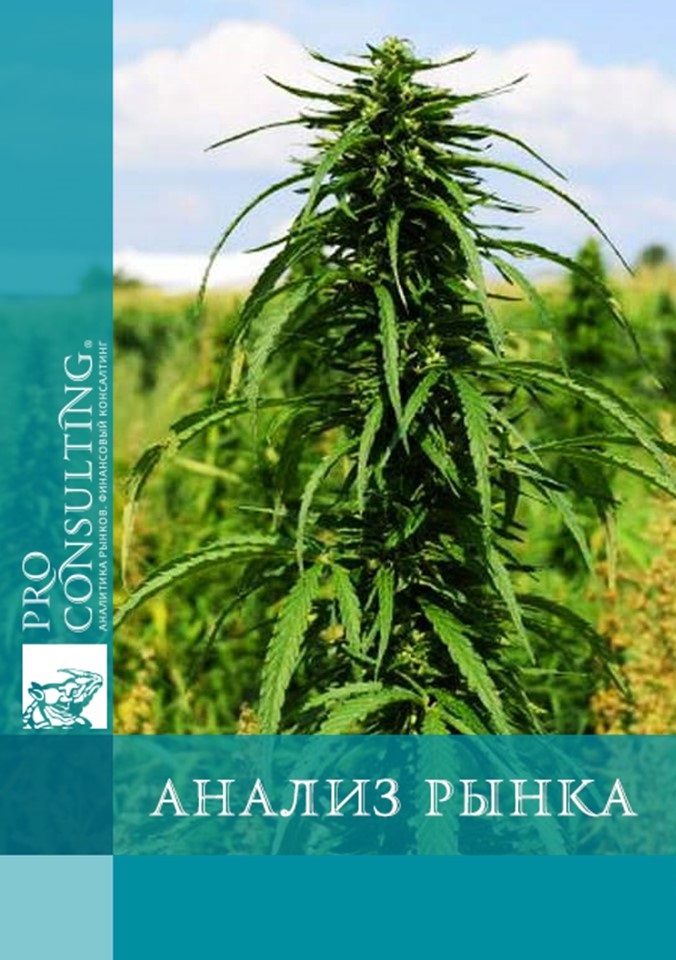 Анализ рынка технической конопли, ее семян и продуктов переработки из нее в Украине. 2020 год